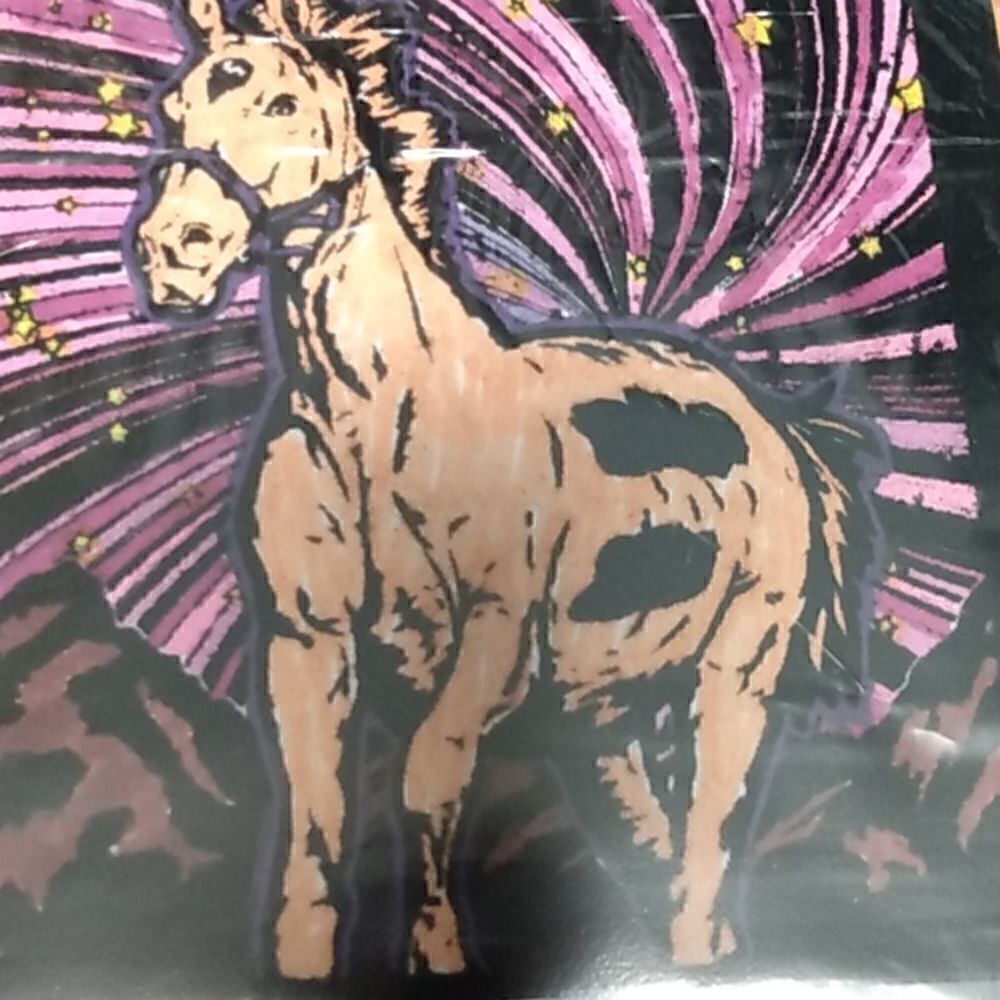 Coloring of a horse